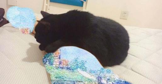 刚到家的小猫咪挠东西怎么办啊,新到家猫咪抓挠床怎么办