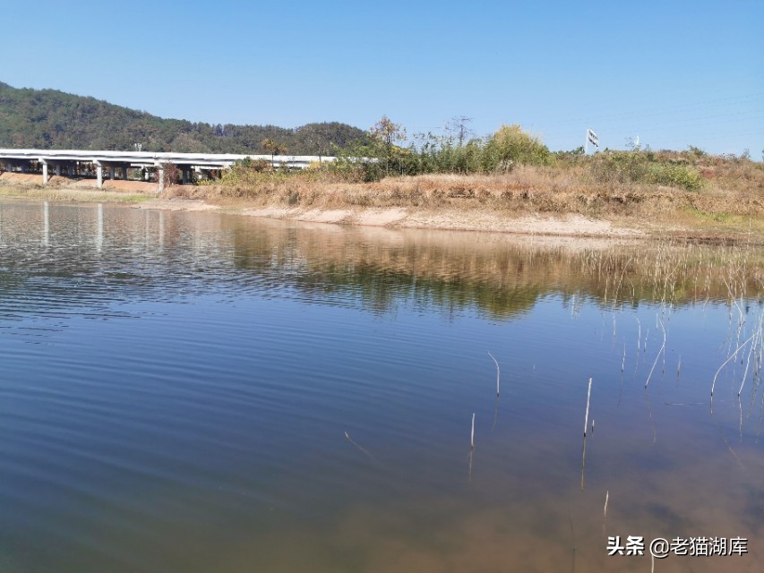鱼不吃料有哪几种原因,鱼不吃饵最有效的方法