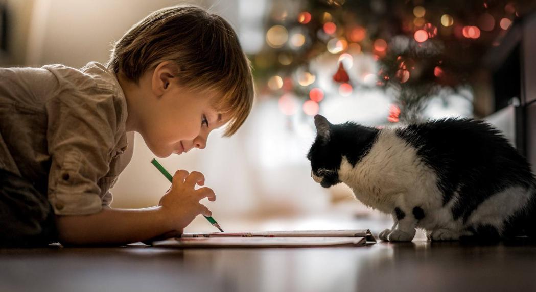 贝塔星奶粉4段推荐吗,宝宝奶粉前十名有哪些奶粉