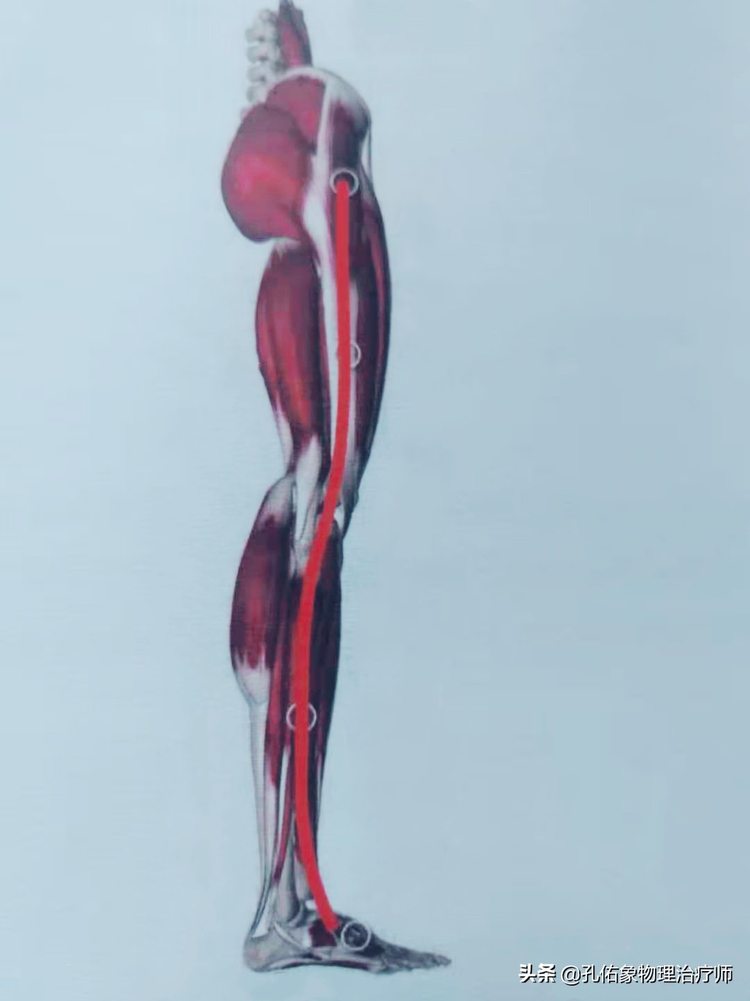 久坐右边臀部疼痛发麻怎么锻炼,久坐臀部疼痛怎么锻炼