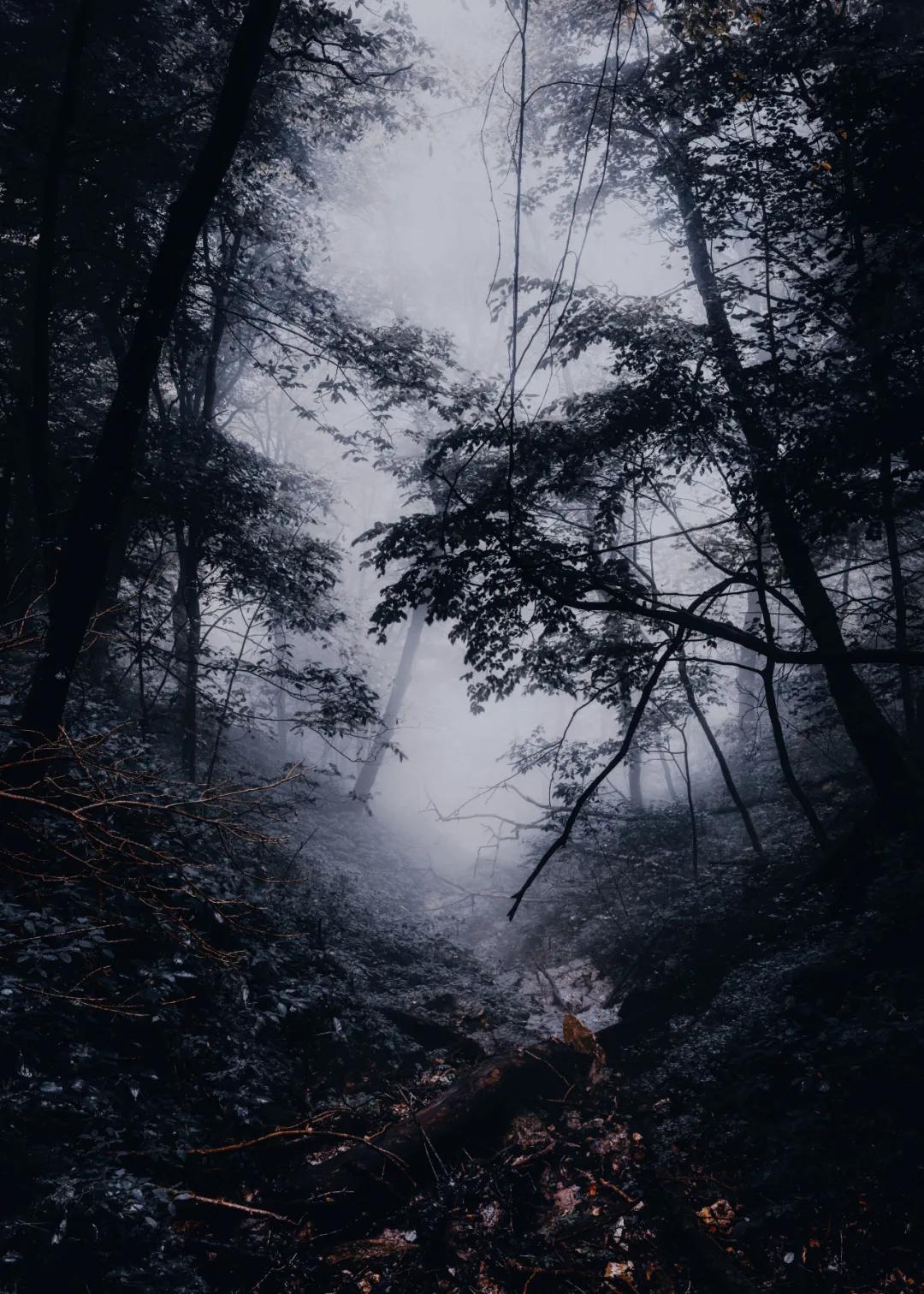 ins风暗黑小众照片,暗黑风ins图