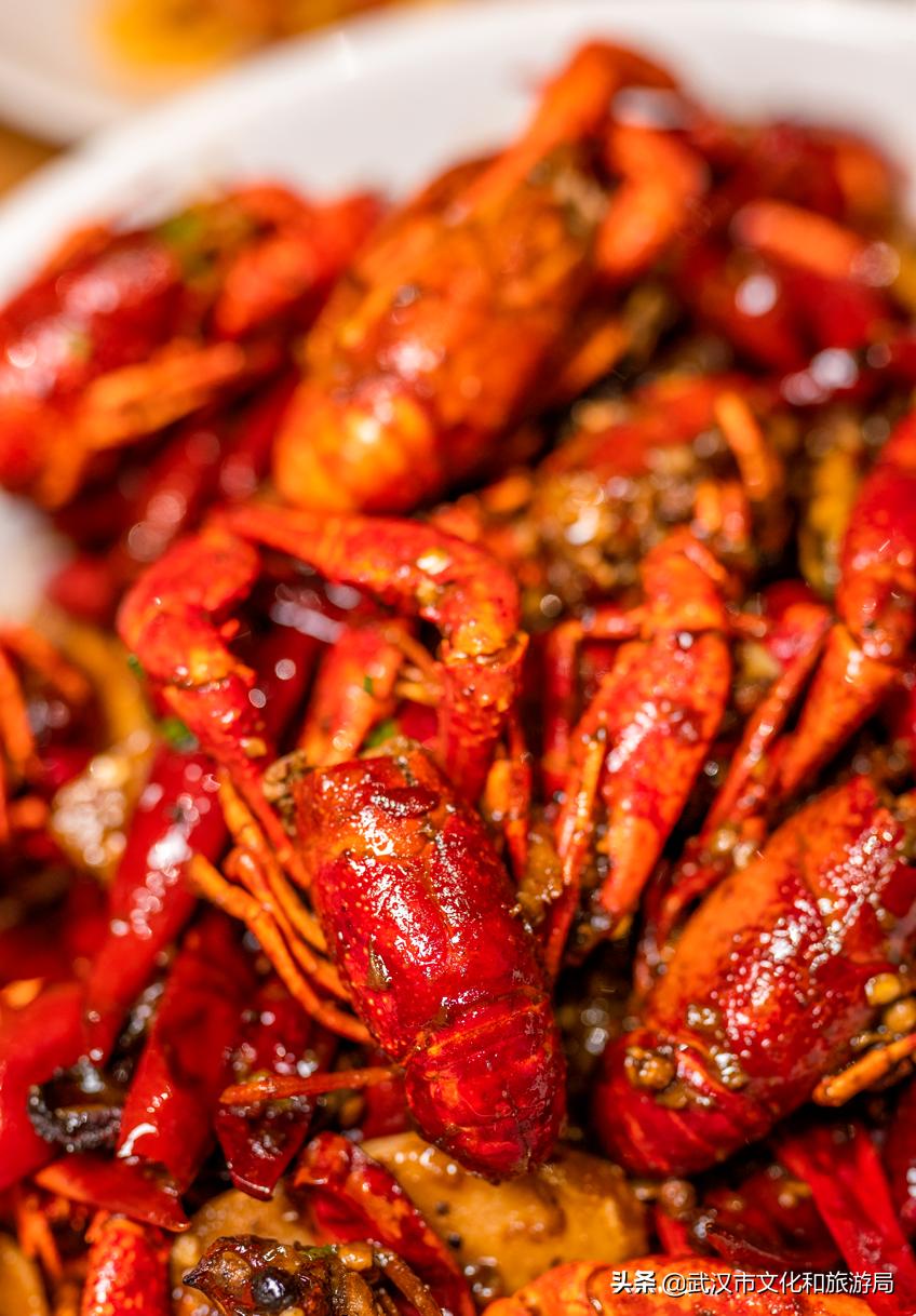 武汉樱花开完整版视频,武汉东湖樱花开的视频