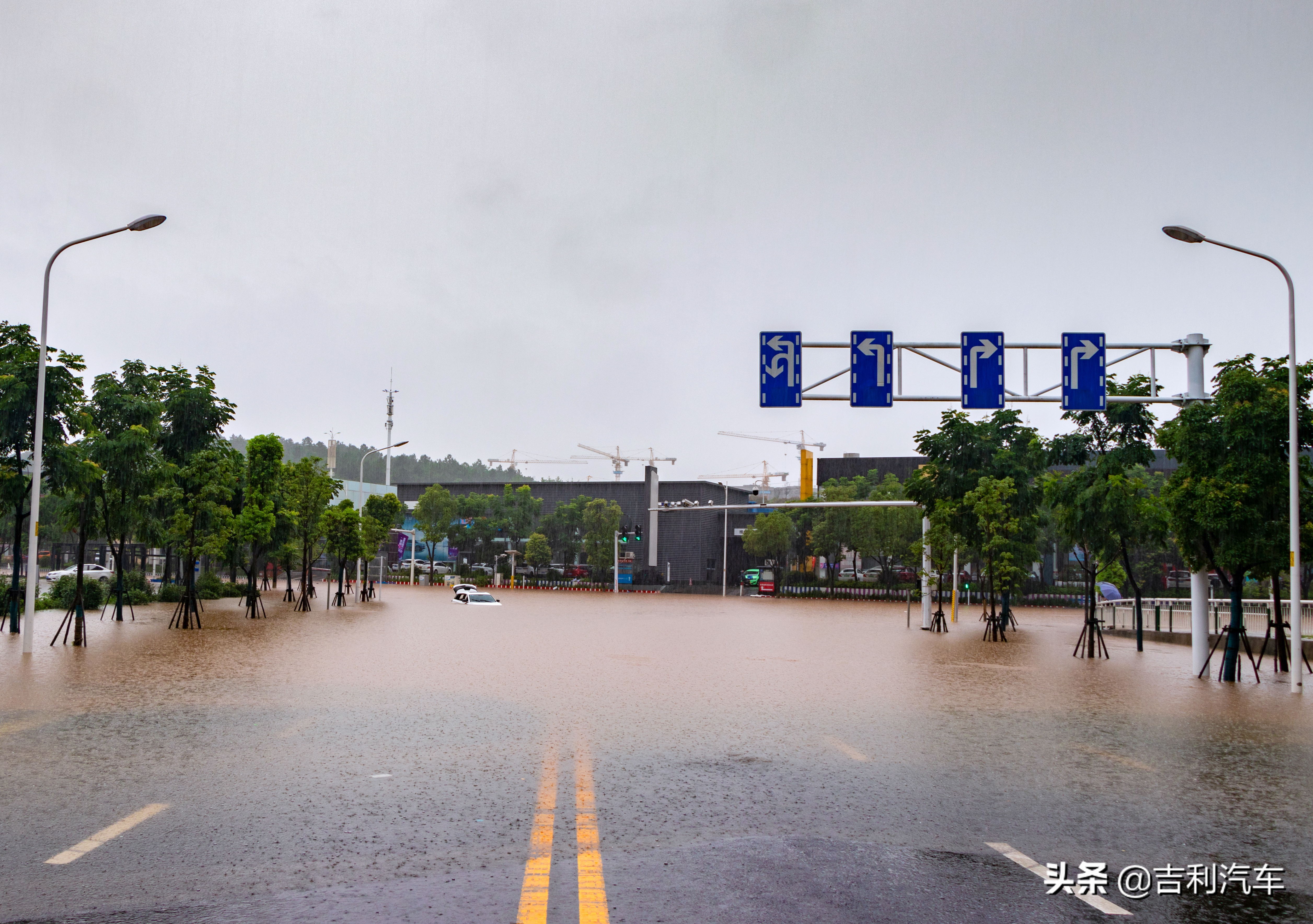 有车要注意哪些,有车一族要注意安全