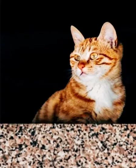 天津商业大学综合排名,天津商业大学真实排名