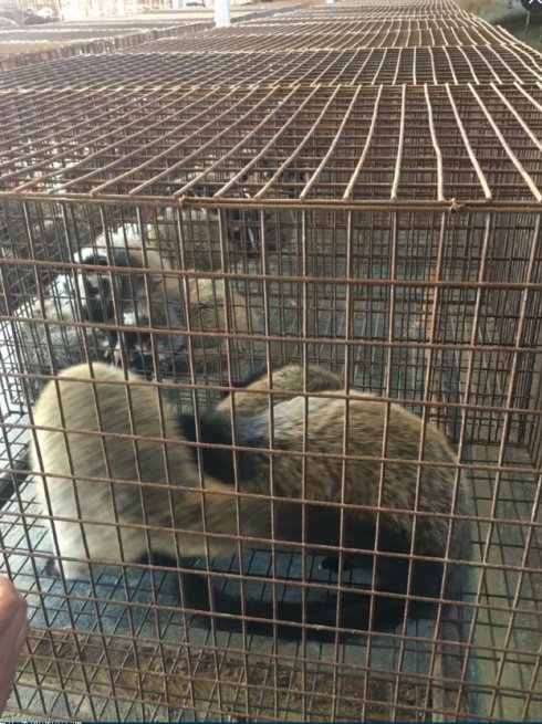 运城市畜牧兽医发展中心,畜牧局包点村扶贫工作方案