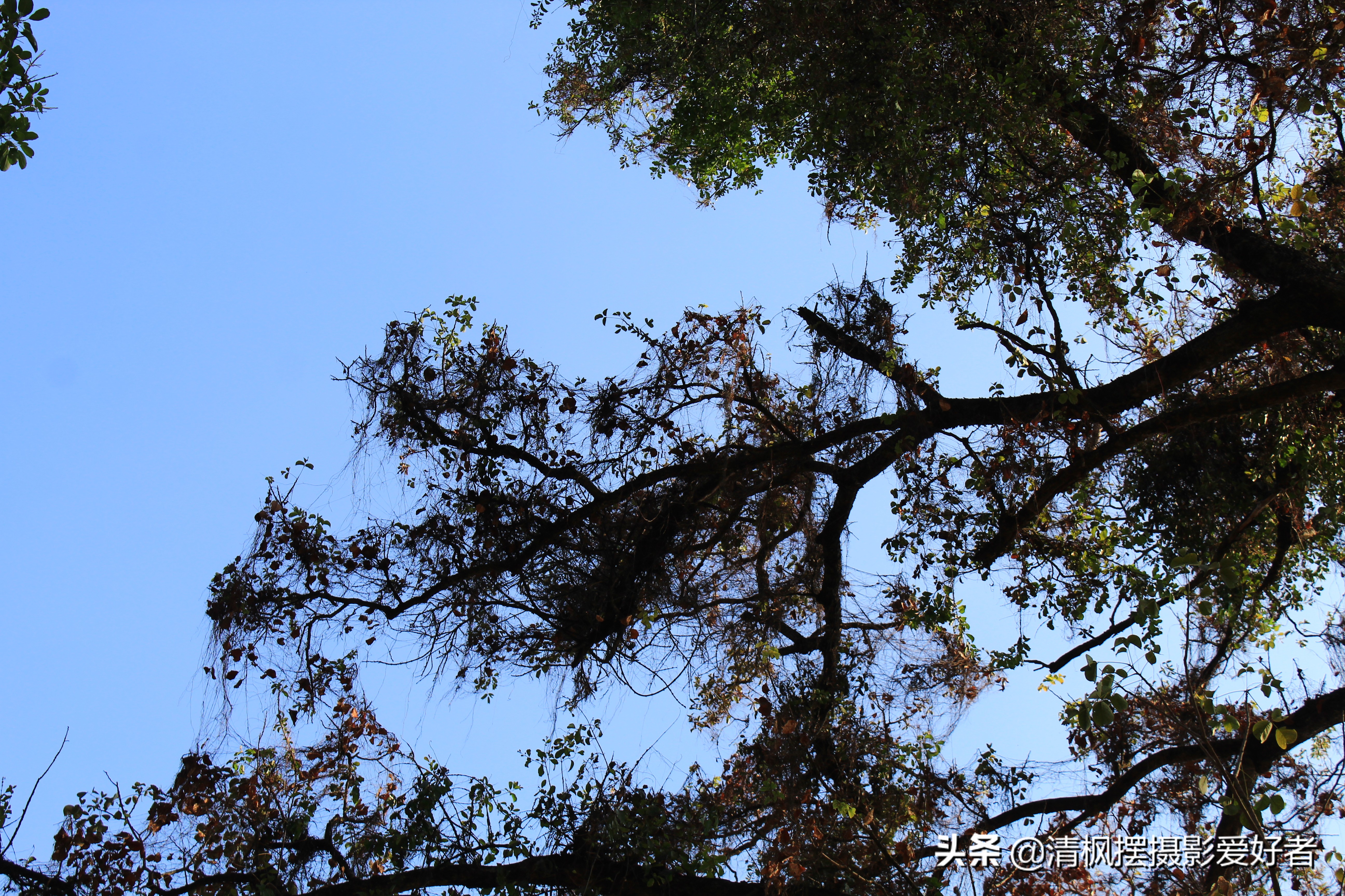 南宁最近的古城,南宁古城墙景区里面有什么