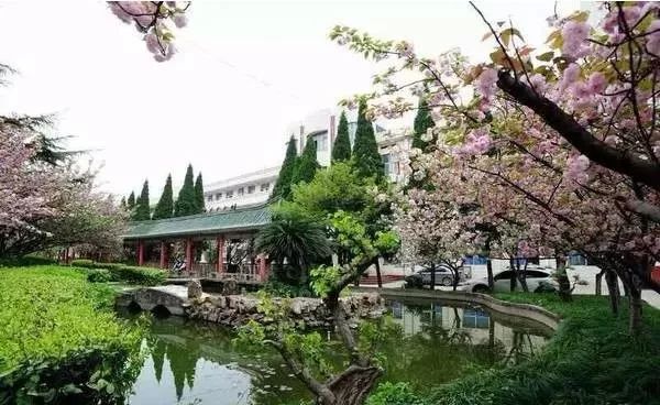 全国十大名校在湖北排名,湖北最厉害的10所中学