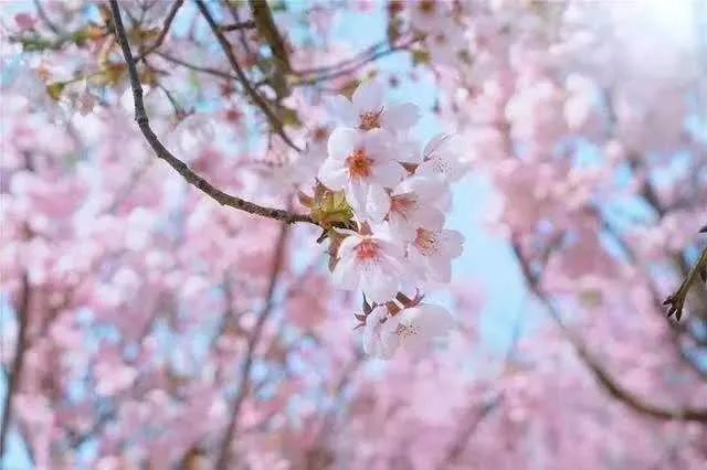 涔濆ぉ璇楄瘝绗崄鍏湡,涔濆ぉ璇楄瘝绗簩鍗佹湡