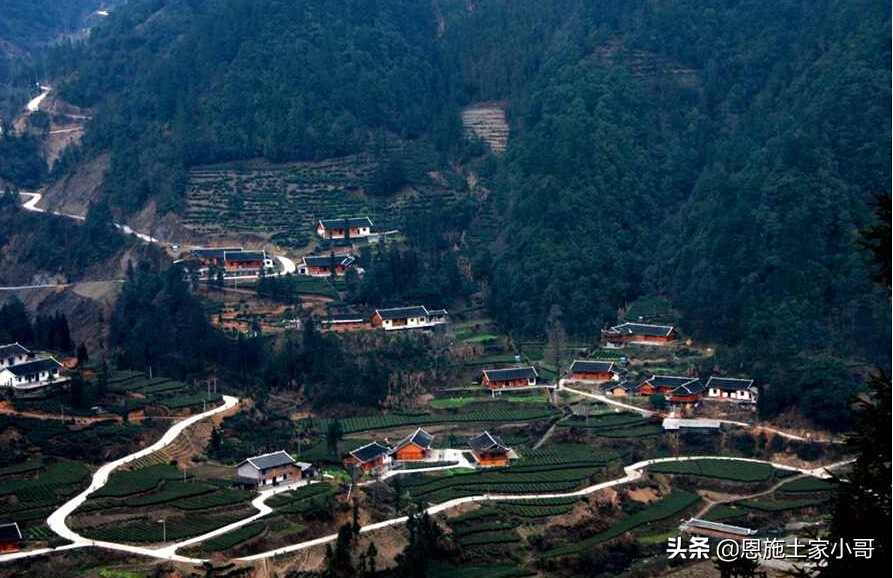 恩施土家寨风景,恩施土家风情文化线路图