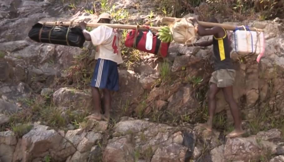 实拍非洲紫檀木*私走**全过程：护林员做*私走**，一根紫檀木赚三万