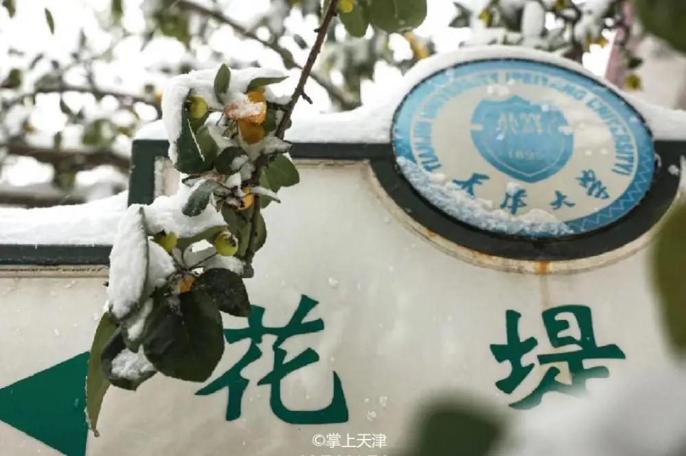 天津大学化工亚洲第一,天津大学化工专业在全国排名第几