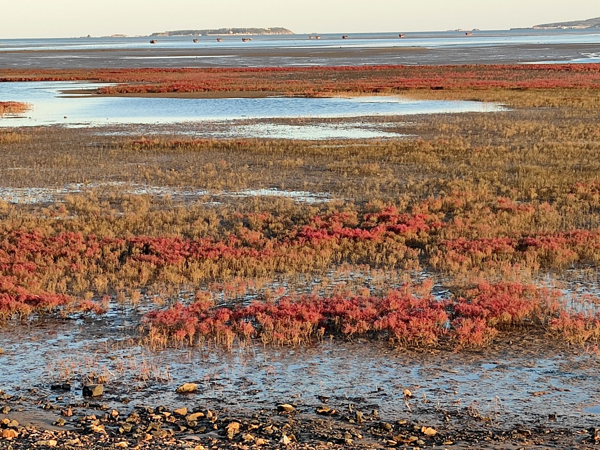 欣赏年画、邂逅大海、闲逛宜家，将生活过成诗与远方