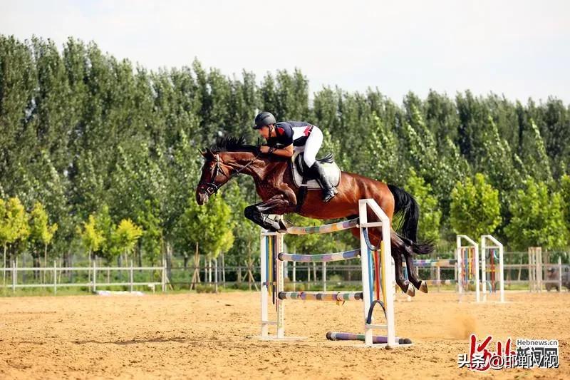 邯郸自驾游看花十大排行榜,石家庄48条春观花旅游线路