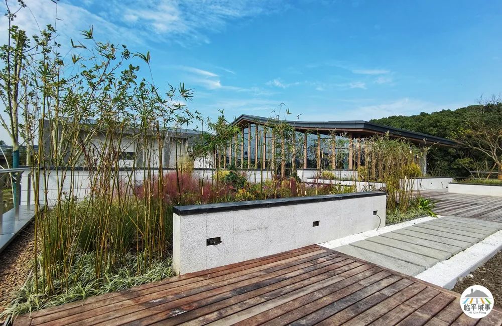 临平休闲运动公园,临平运动休闲公园免费吗