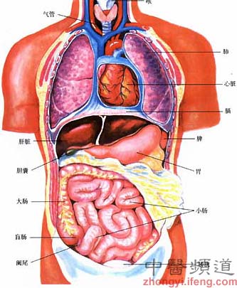 中医基础理论何为阴阳五行,十分钟看懂中医阴阳五行