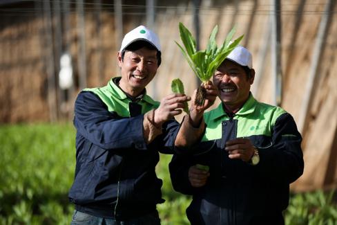 跑山猪原生态散养土黑猪,大山里的美食土鸡土鸭