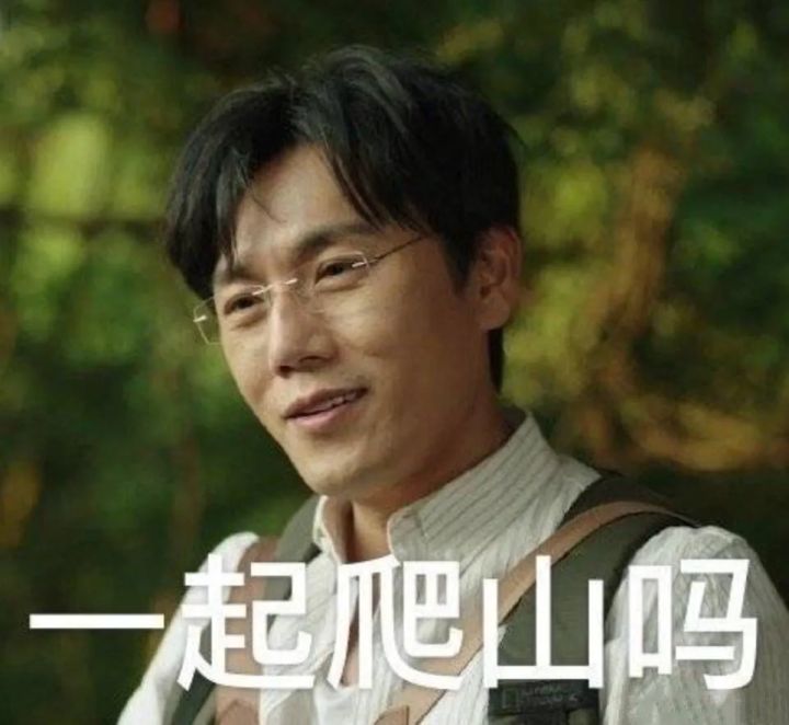 法国最值得去的山,法国山峰旅游