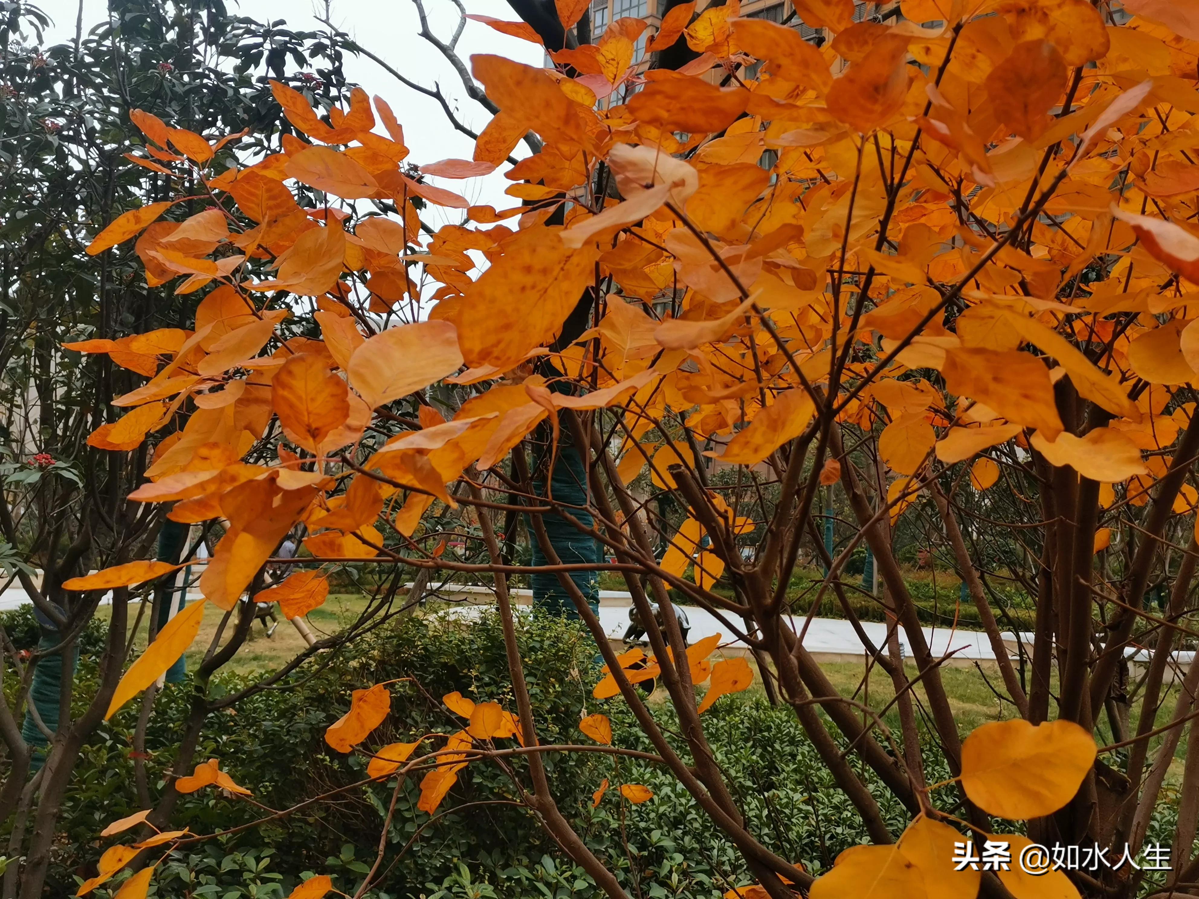 北方的冬天,北方的冬天温暖