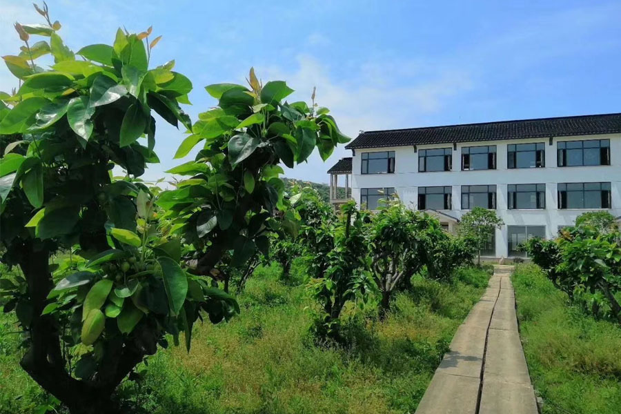 特色农家乐民宿的优点,农家乐升级精品民宿应该怎么做