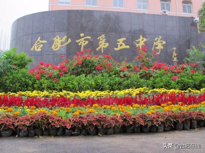 19年合肥中考成绩48中,合肥一中今年中考分数