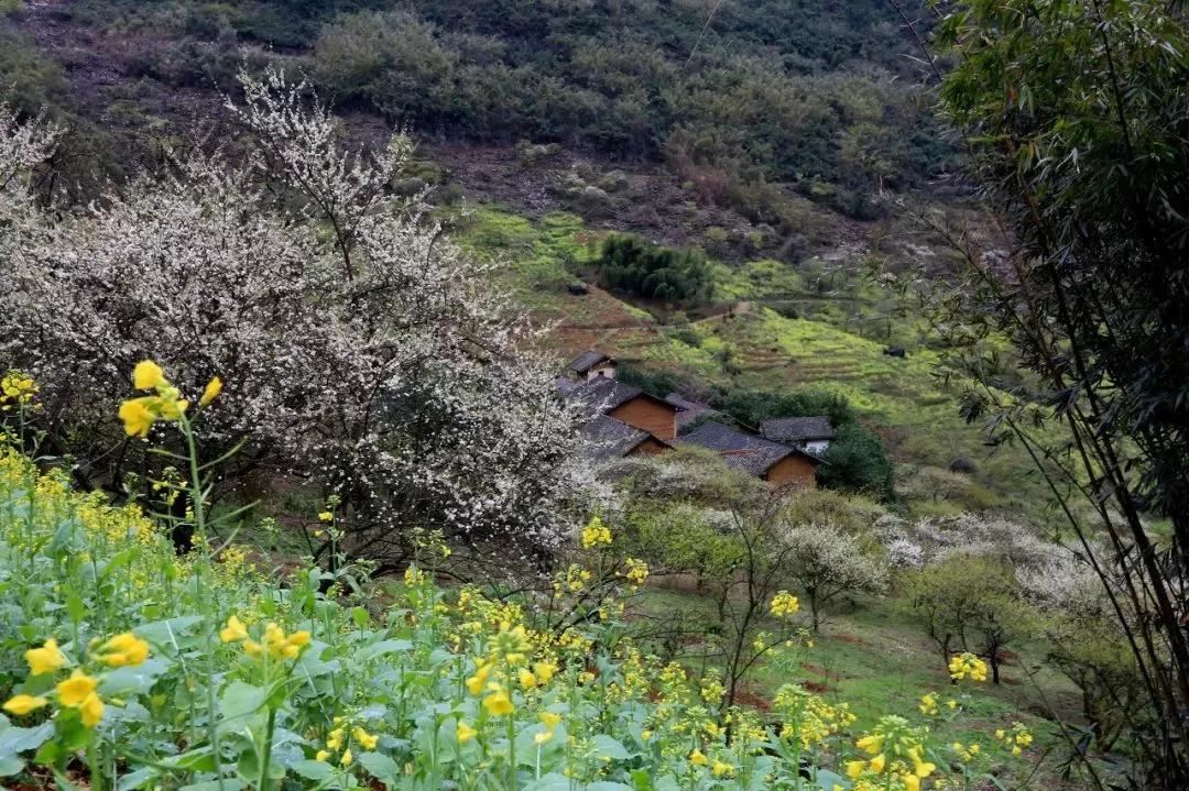 退休后就去国内旅游,退休后必去的100个景点