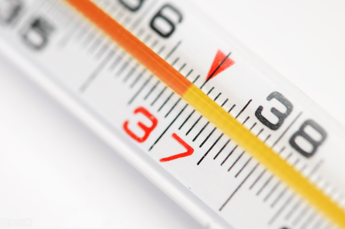 牡丹鹦鹉雏鸟怎么喂奶粉,牡丹鹦鹉雏鸟越喂越瘦