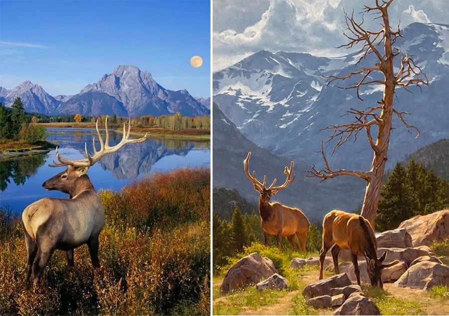 儿童画教程简单又漂亮树,麋鹿怎么画简单漂亮可爱