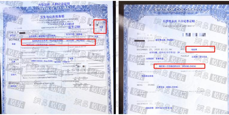 代孕，隐婚，打胎，扒一扒郑爽黑历史，她为什么已经被锤爆了？