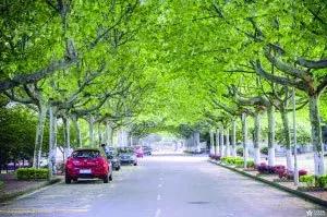 南师大马拉松,南京师范大学马拉松直播