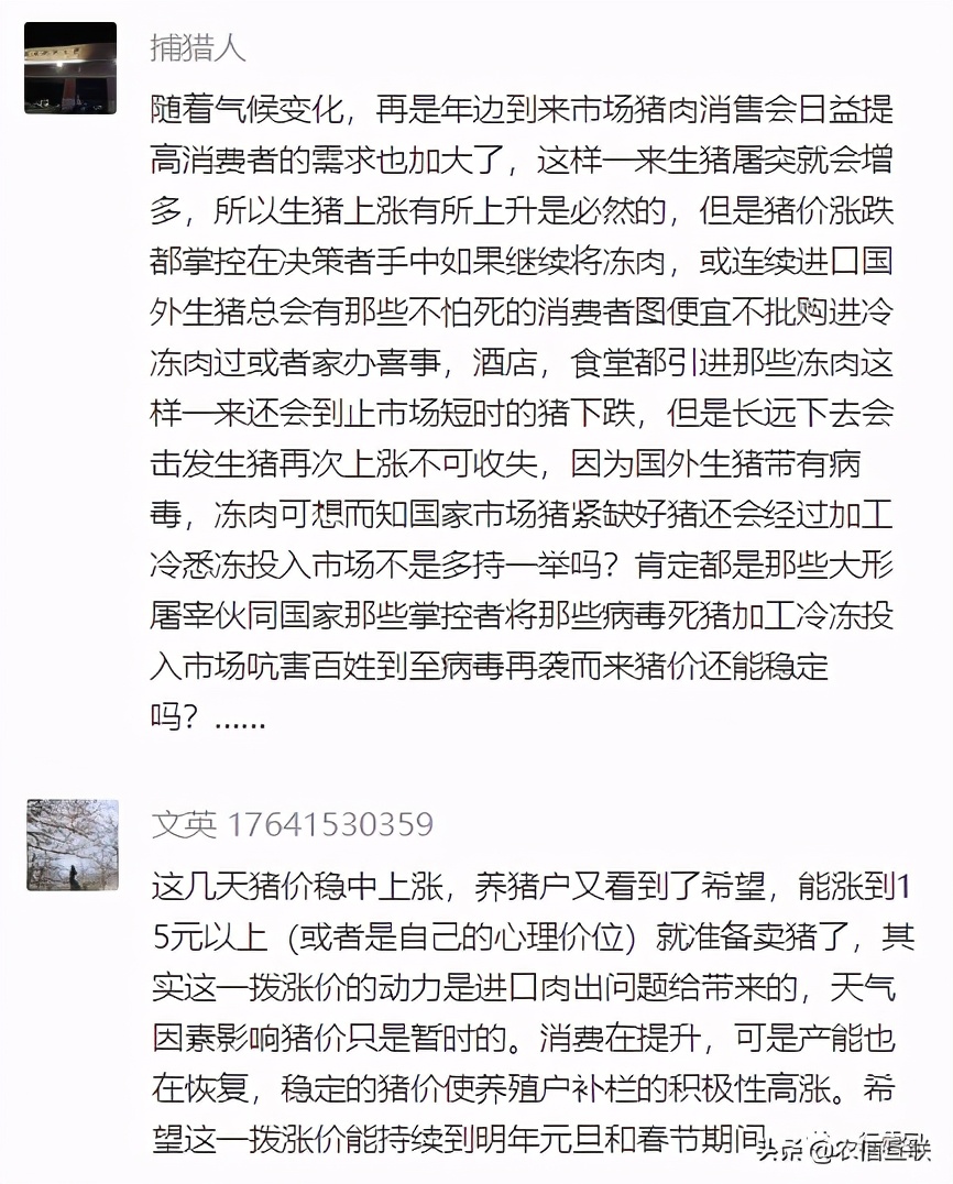 猪价迎来下跌潮2020年猪价预测,猪价何时上涨未来猪价预测