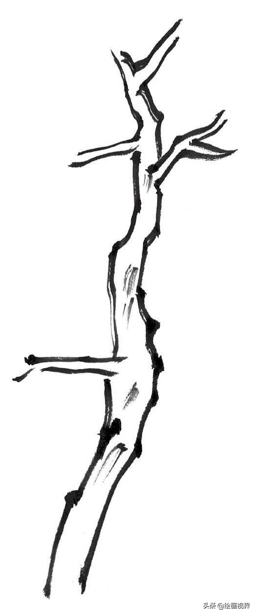 国画双钩树的画法入门,国画杂树与山石的画法图片