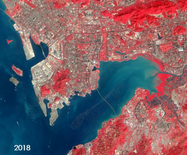 深圳湾在哪里,深圳湾是什么区的