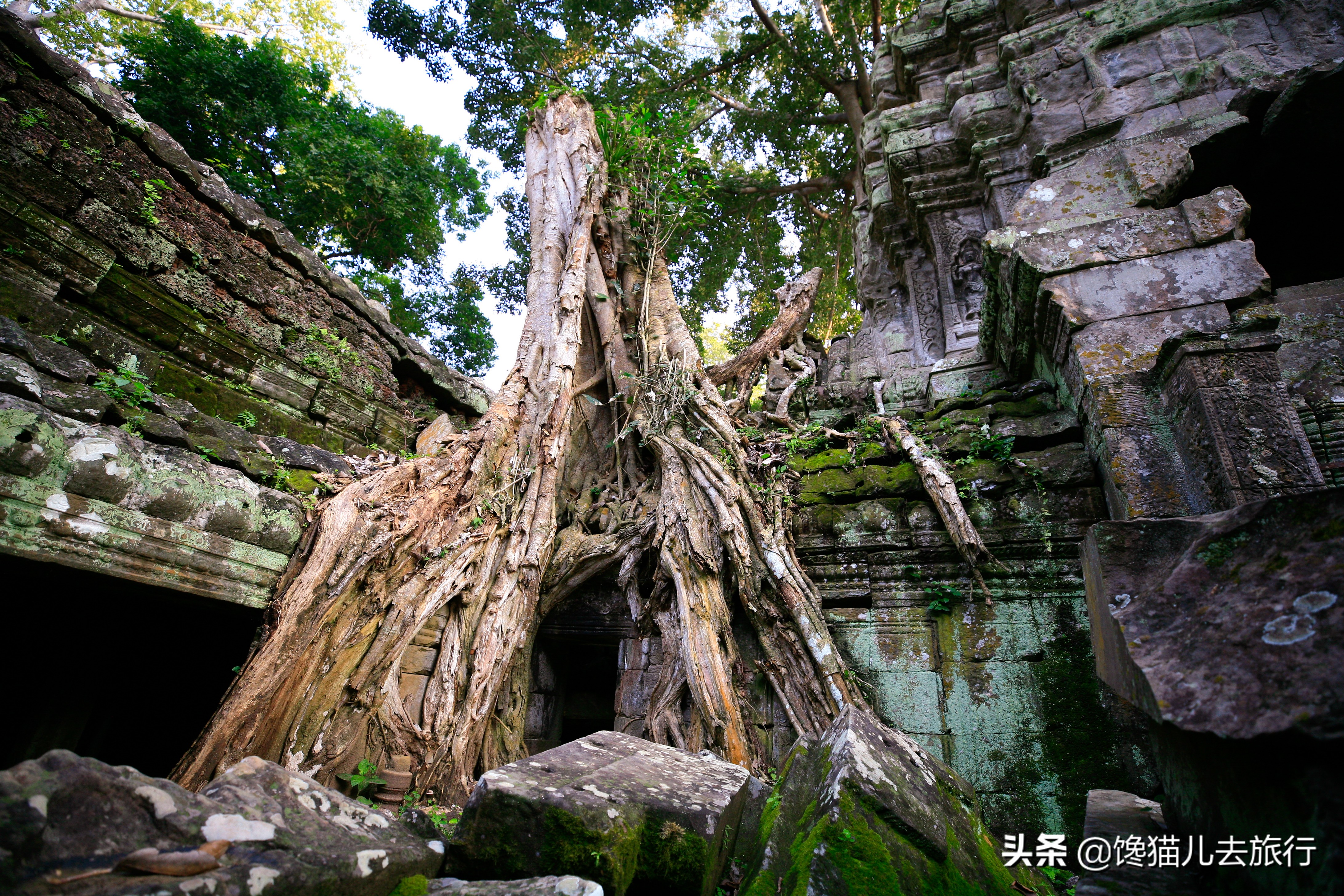 吴哥窟游客,柬埔寨吴哥窟门票是多少钱