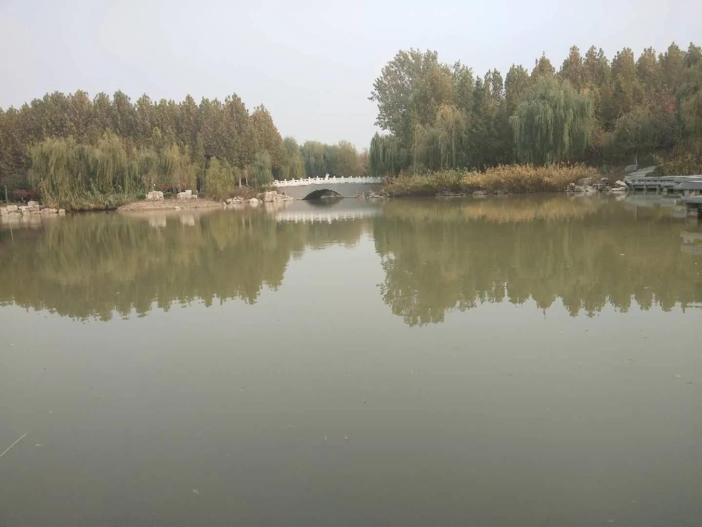 我的校园生活手抄报,我的校园生活600字优秀作文