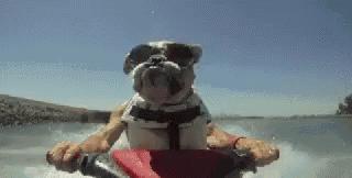 金融人眼中的自己,一个懂金融和不懂金融的人的区别