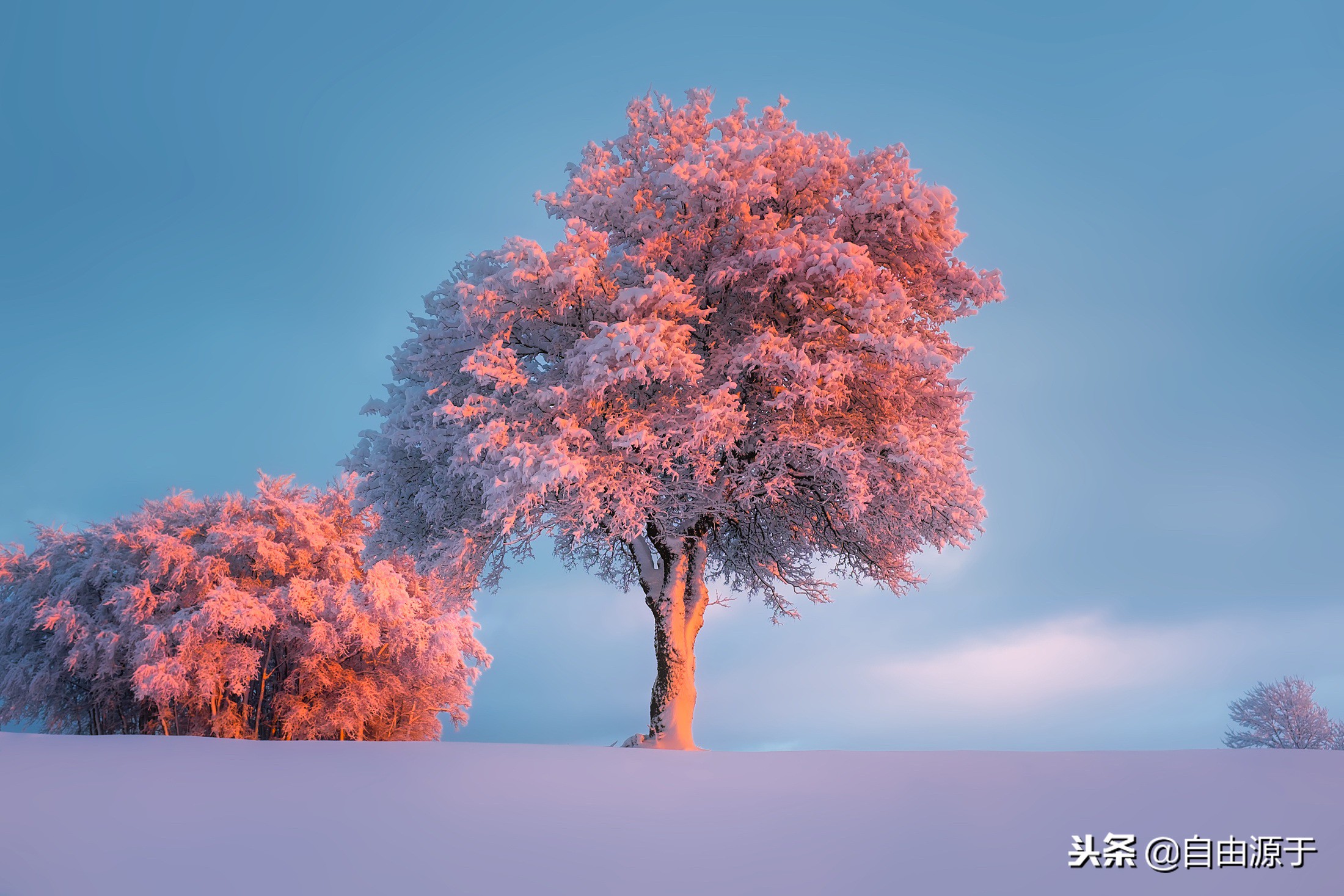 市盈率法是算利润还是营业额,市盈率市销率市现率的区别