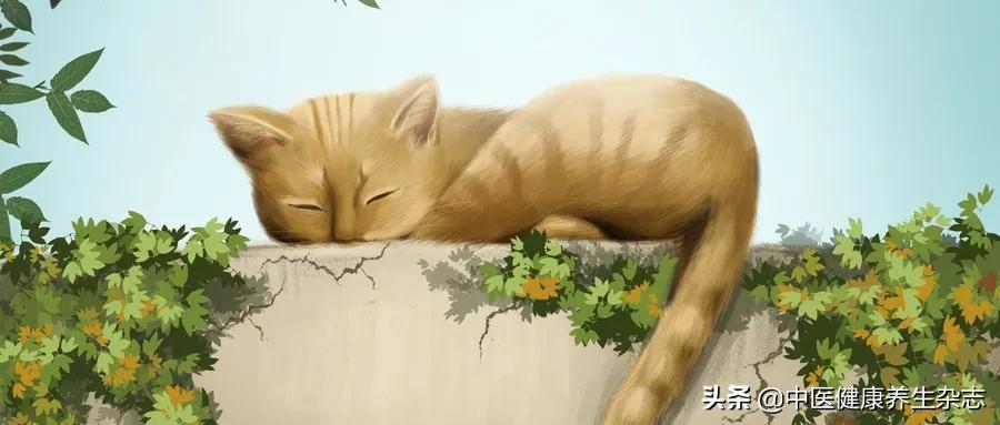 疲乏犯困怎么缓解,太困了怎么迅速解乏