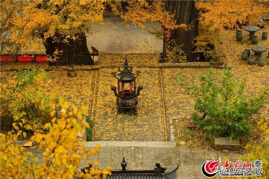 泰山风景区门票优惠到什么时候,泰山景区门票优惠政策介绍