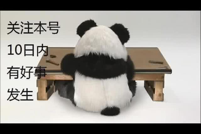 万众期待中日女将对决,中国男足女足对比最新消息