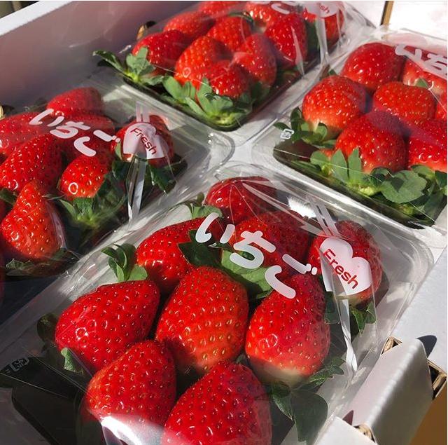 日本四季水果有哪些,日本新鲜应季水果