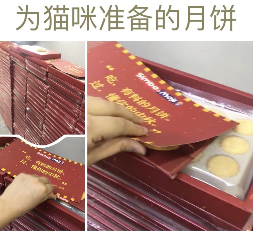 猫舍卖猫这行业为什么这么暴利,猫咪宠物店靠什么盈利