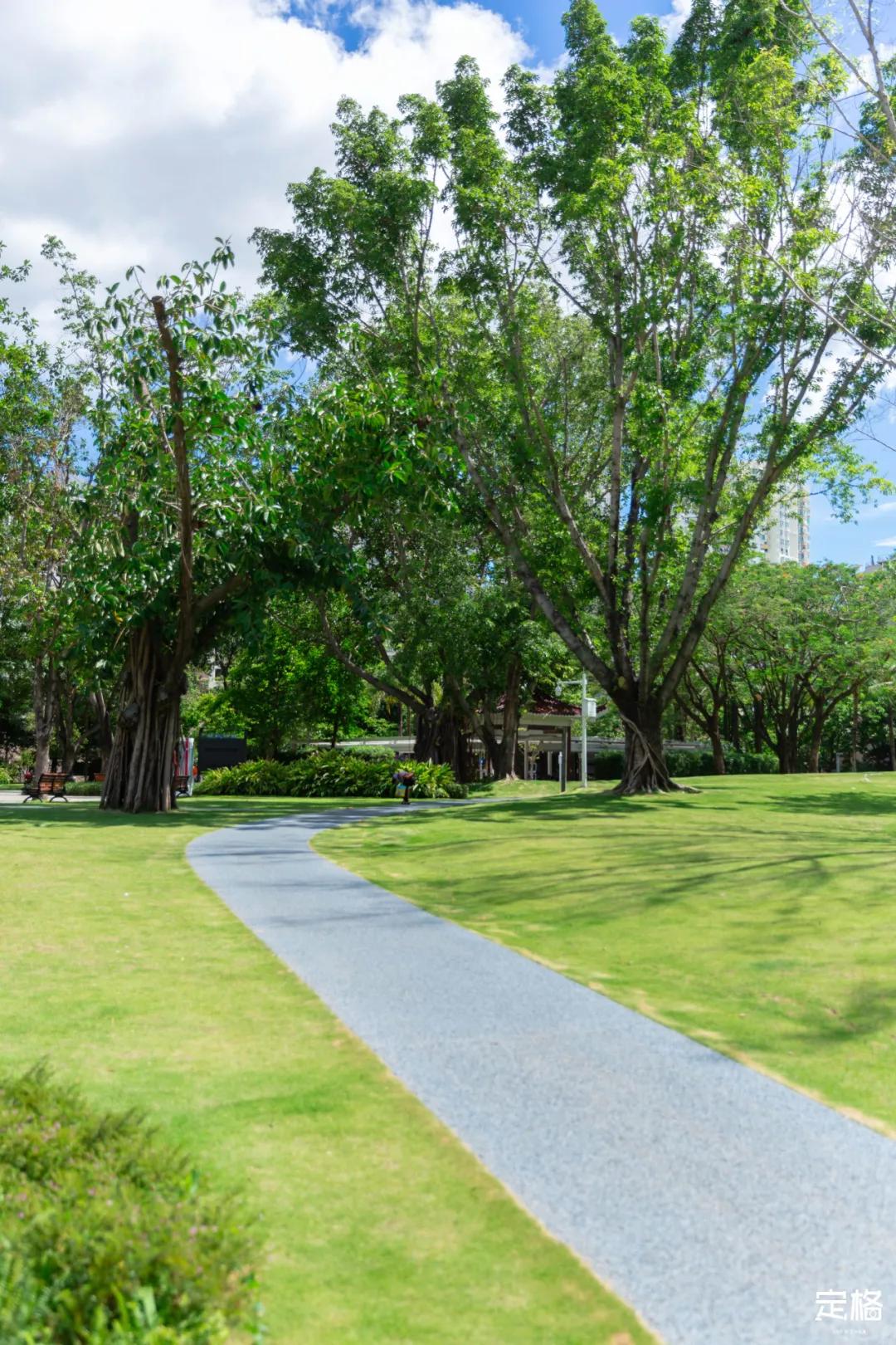 深圳大鹏小众村庄,超小众拍照圣地深圳