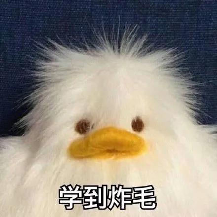 如何高效的学好意大利语,在意大利学意大利语专业