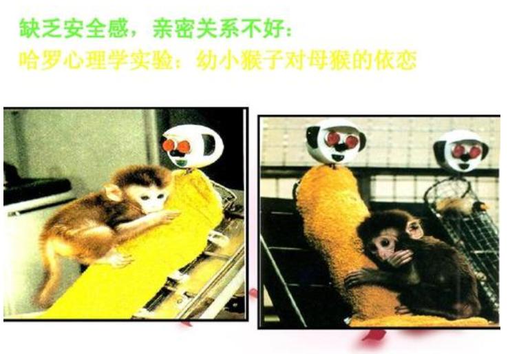 孩子分离焦虑期父母怎么办,孩子分离焦虑的解决方法