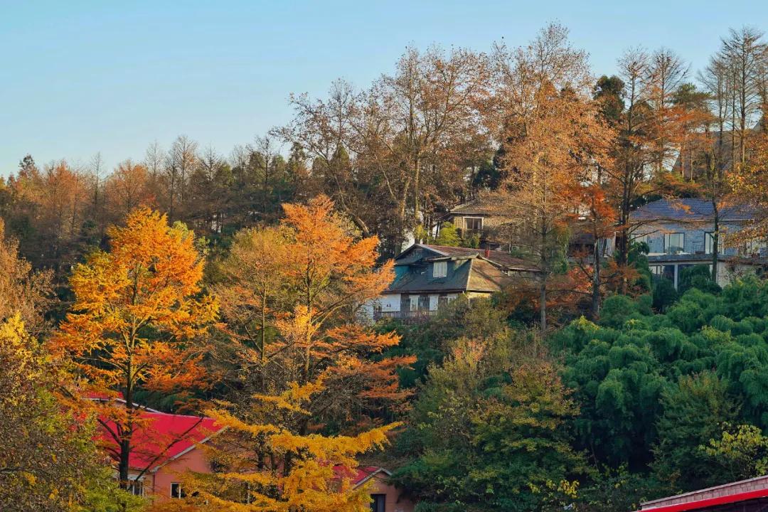 安吉玩雪的地方推荐,安吉周末滑雪泡温泉