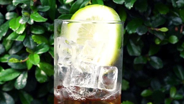 挞柠柠檬茶广东,佛山禅城手打柠檬茶