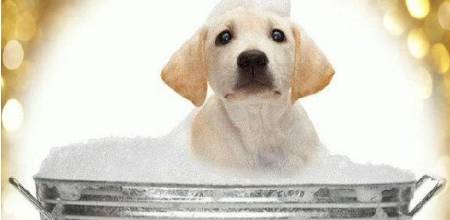 制作环保酵素的过程,妙音环保酵素制作方法