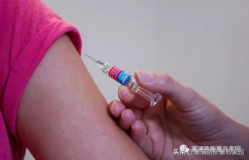 塞浦路斯一周大事别错过！谷歌前首席执行官成为塞浦路斯公民