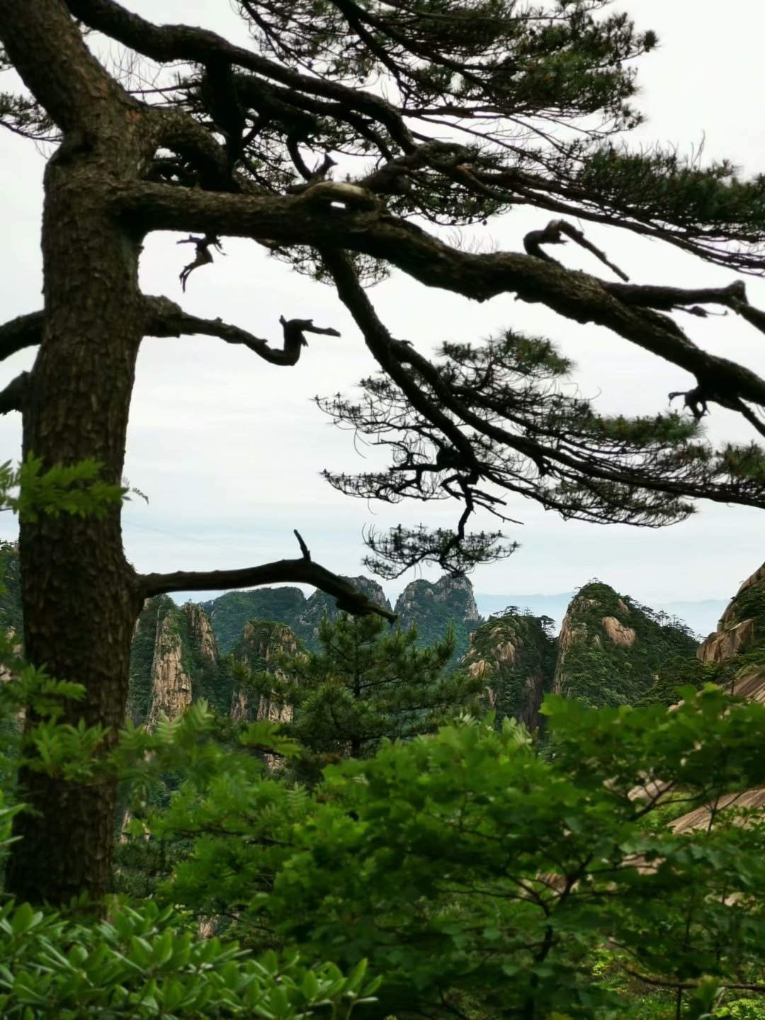 烂柯梦——仙游记(下)