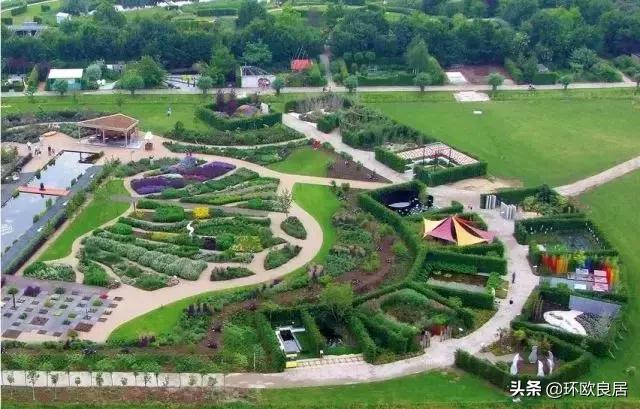 错过郁金香的阿姆斯特丹,荷兰赏花景点推荐